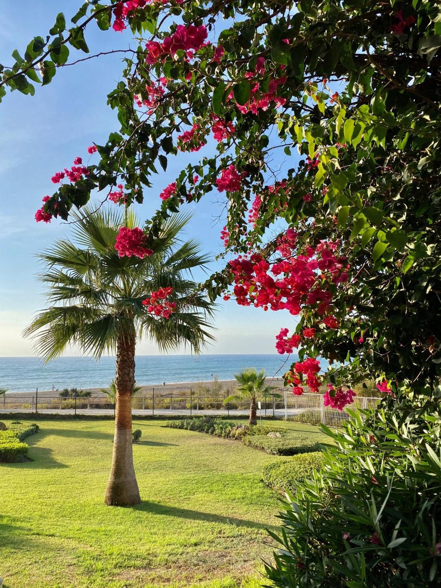 Sunshine Beach Front Complex, Wifi, Modern Casares Buitenkant foto
